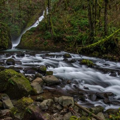 皇冠手机登录地址hg