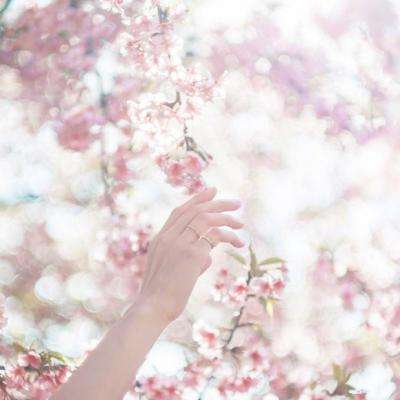 一码一肖100准资料应用